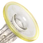 Toro x Pakoh - FYC Full Size - CircCirc - Gucci Louie - Image 9