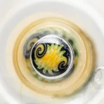 Toro - Stout Size - Circ/13 - Krippy w/ Multicolor Wag - Image 9