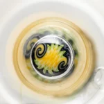 Toro - Stout Size - Circ/13 - Krippy w/ Multicolor Wag - Image 9